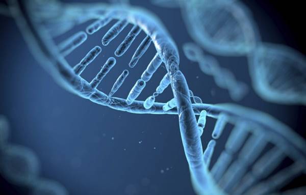 Perbedaan DNA dan RNA